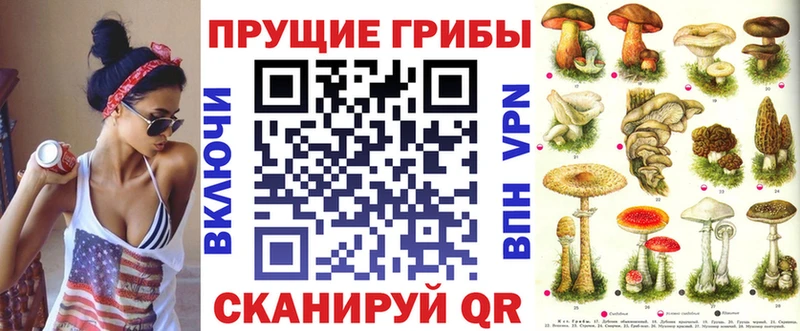 закладки  Алзамай  blacksprut онион  Галлюциногенные грибы Cubensis 